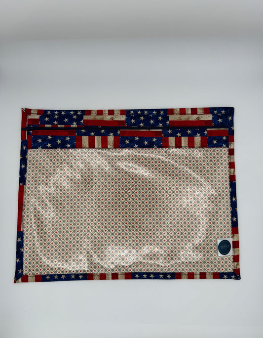 Americana Project Bag