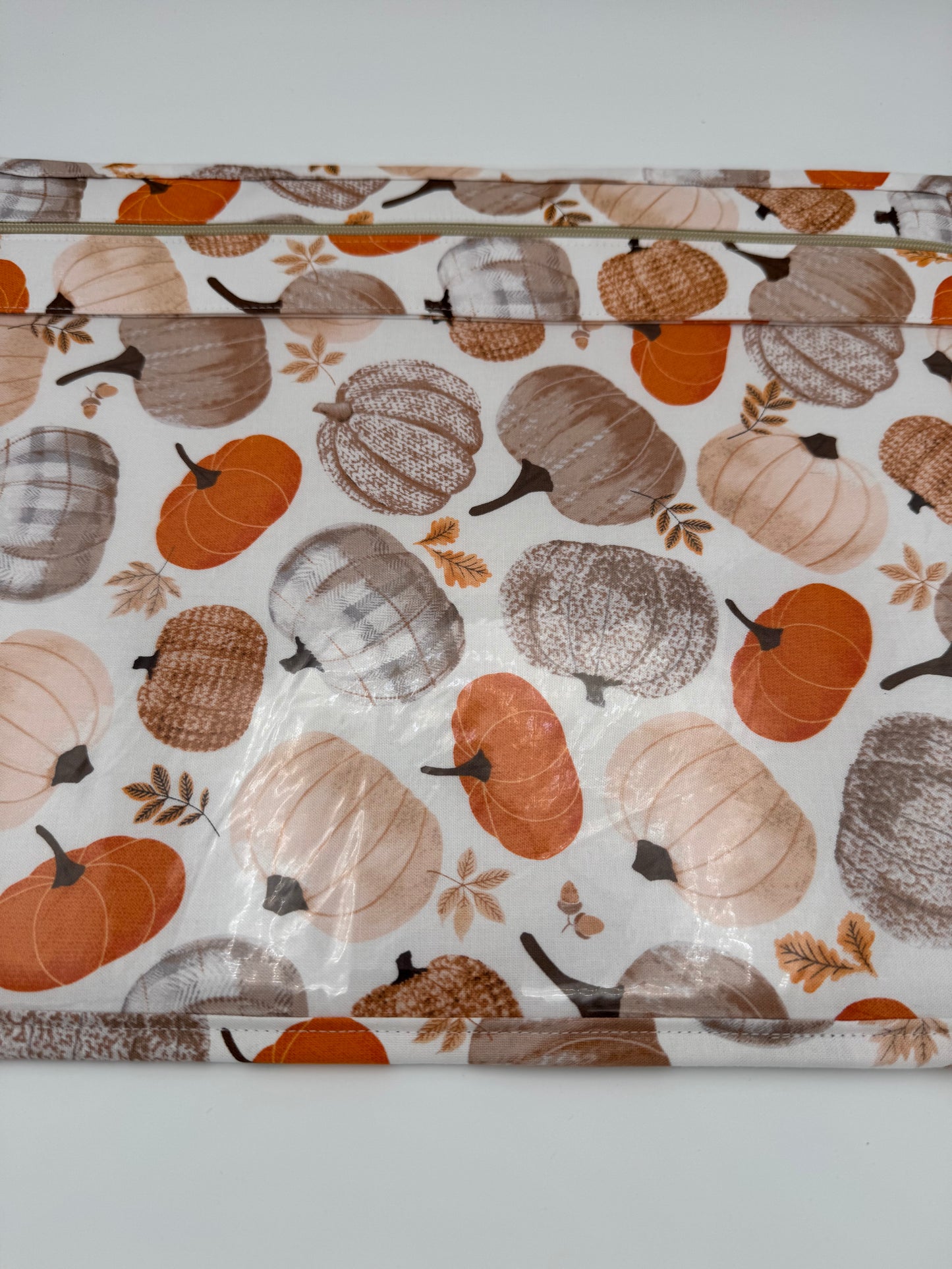 Fall Pumpkins Project Bag